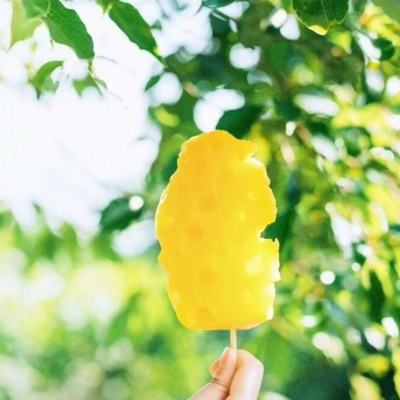 大城市生活模拟破解版下载