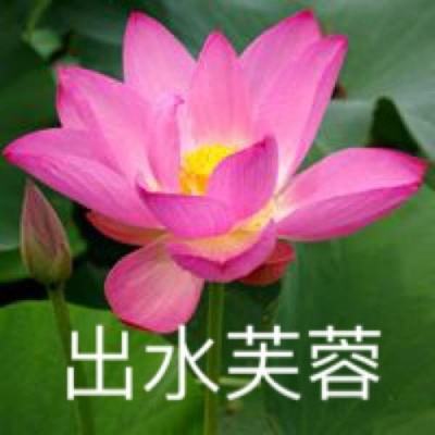 ko之王手游(暂未上线)v2.0.0 安卓版
